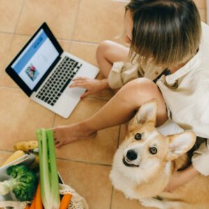 A Cute Dog Looking Up while Sitting Beside a Person Using Laptop